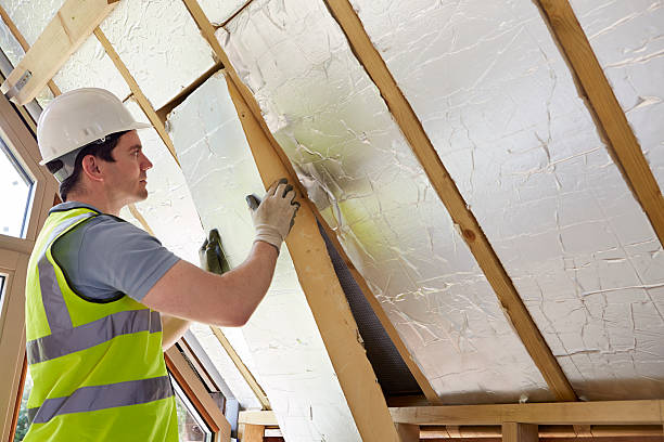 Garage Insulation Installation in Whitney, NV